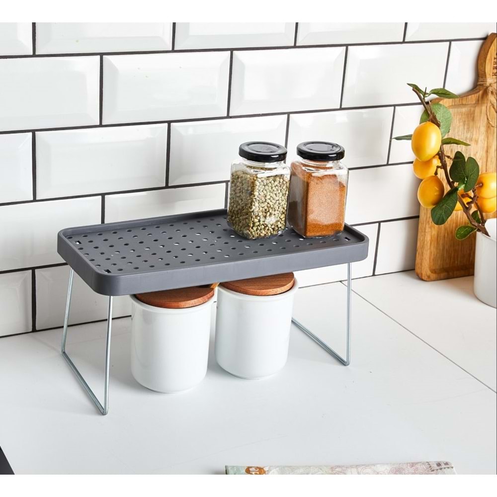 BARONESS 13881 RAF DÜZENLEYİCİ