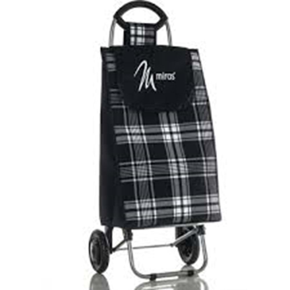 AKTÜEL PAZAR ARABASI