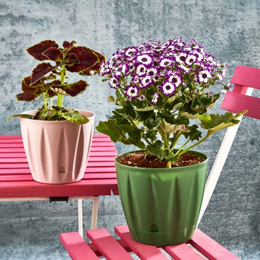 PAMİR PMR-403 BADE 3 NO SAKSI 1,8 LT