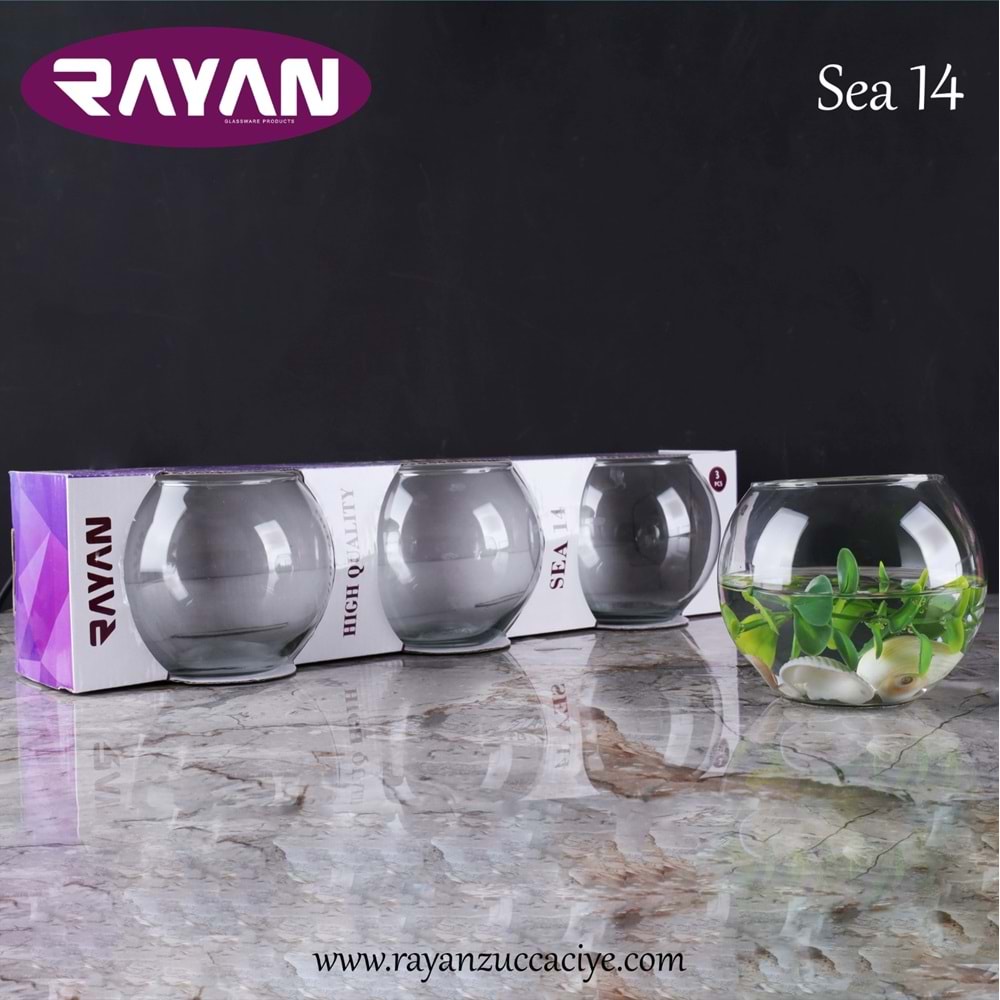 RAYAN 3LÜ FANUS (SEA 14)