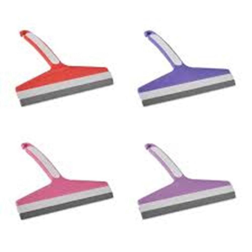 F009 FANATİK CAMSİL 20 CM