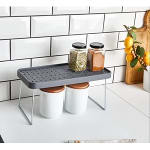 BARONESS 13881 RAF DÜZENLEYİCİ