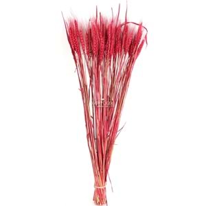 ERDEM PLUS KURUTULMUŞ SPECİAL MİZ ÇİÇEK