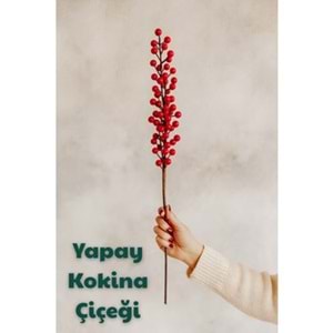 WARDY 10169 UZUN KOKİNA ÇİÇEĞİ