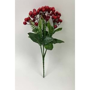 WARDY 10121 KOKİNA ÇİÇEĞİ