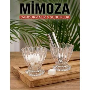 HERENCİA MİMOZA 6 LI ÇEREZLİK