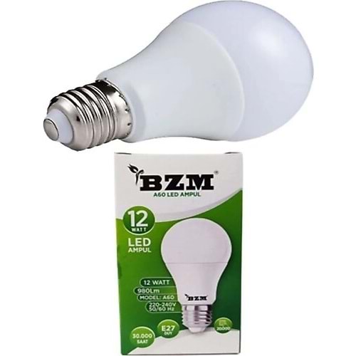 100LED 12 W AMPUL