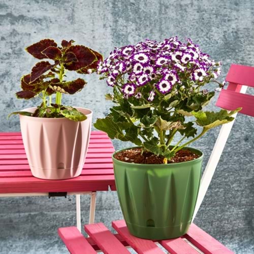 PAMİR PMR-402 BADE 2 NO SAKSI 0,9 LT