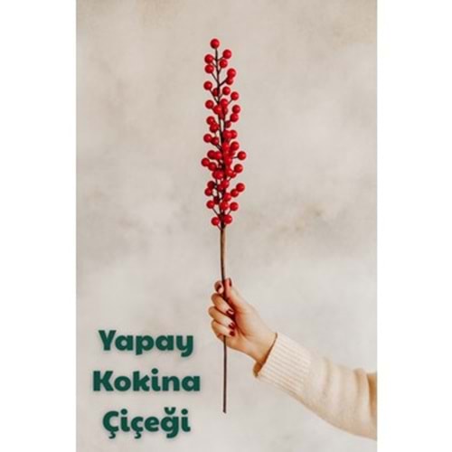 WARDY 10169 UZUN KOKİNA ÇİÇEĞİ