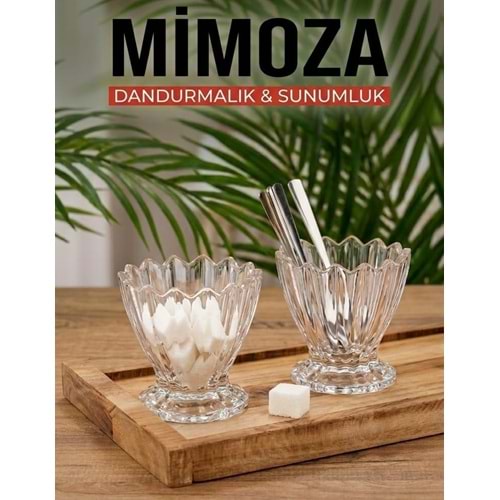 HERENCİA MİMOZA 6 LI ÇEREZLİK