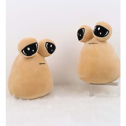 GÖZDE POA