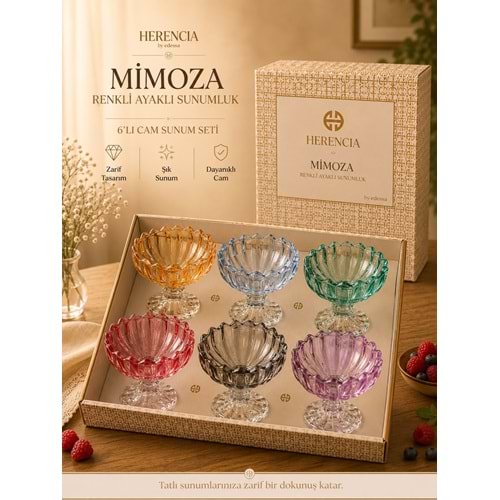 HERENCİA MİMOZA RENKLİ 6 LI AYAKLI SUNUMLUK