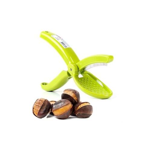 URVE3366 KESTANE ÇİZECEGİ