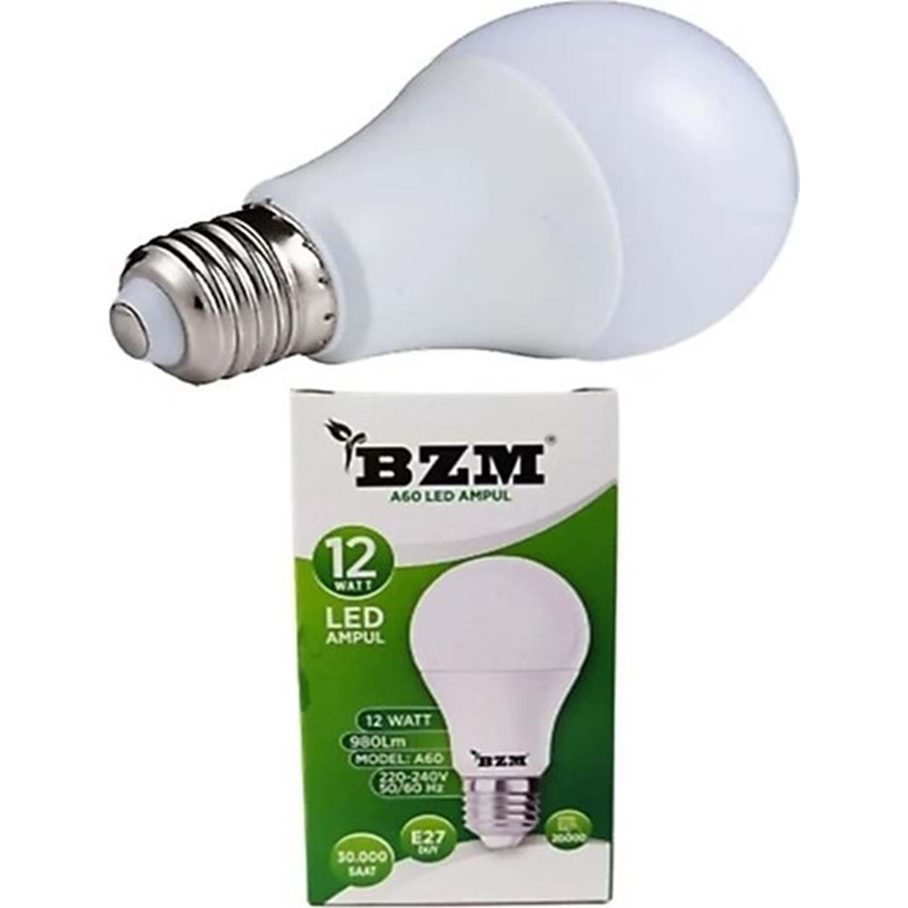 100LED 12 W AMPUL
