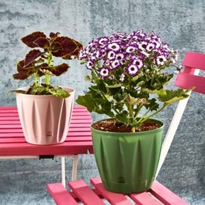 PAMİR PMR-402 BADE 2 NO SAKSI 0,9 LT