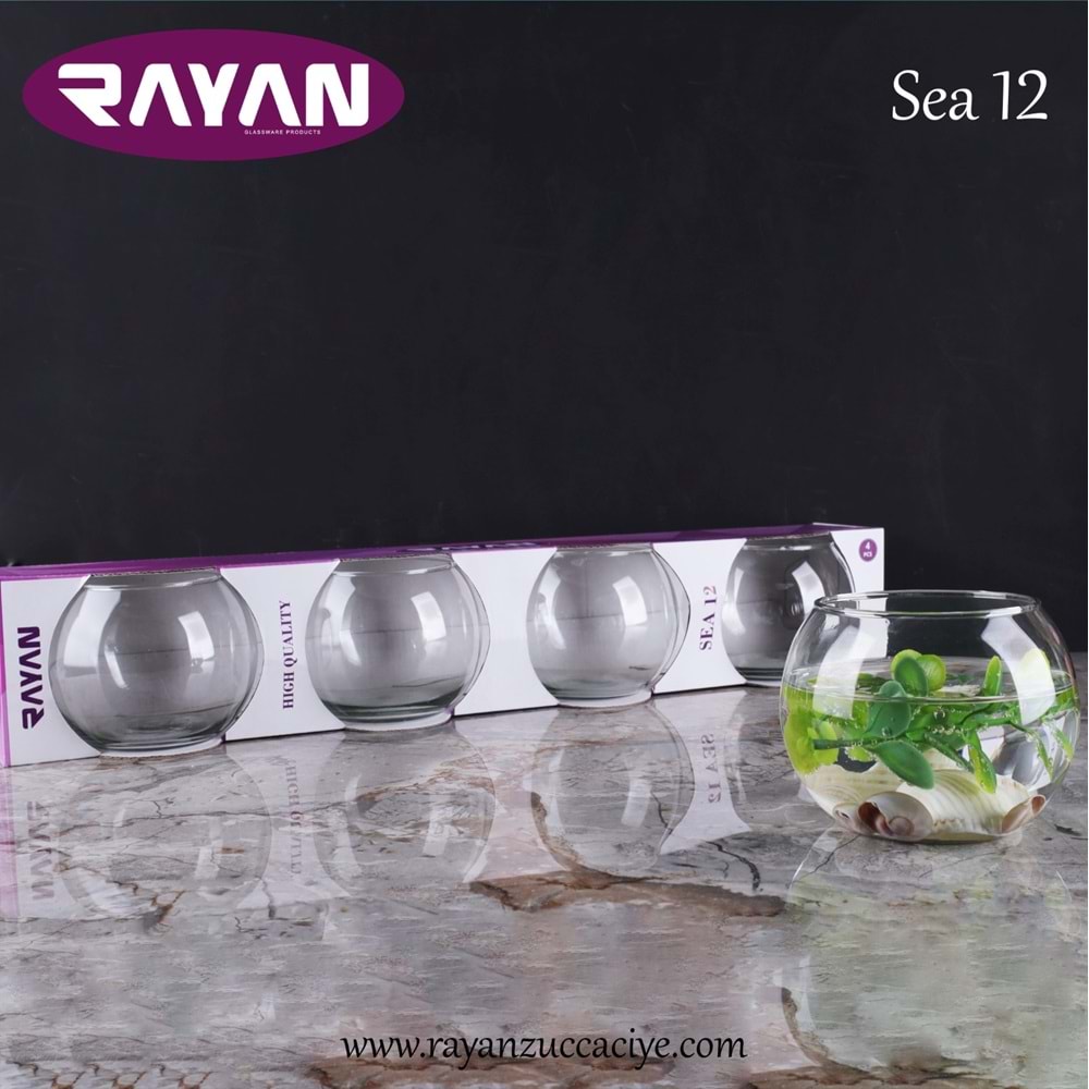 RAYAN 4LÜ FANUS (SEA 12)